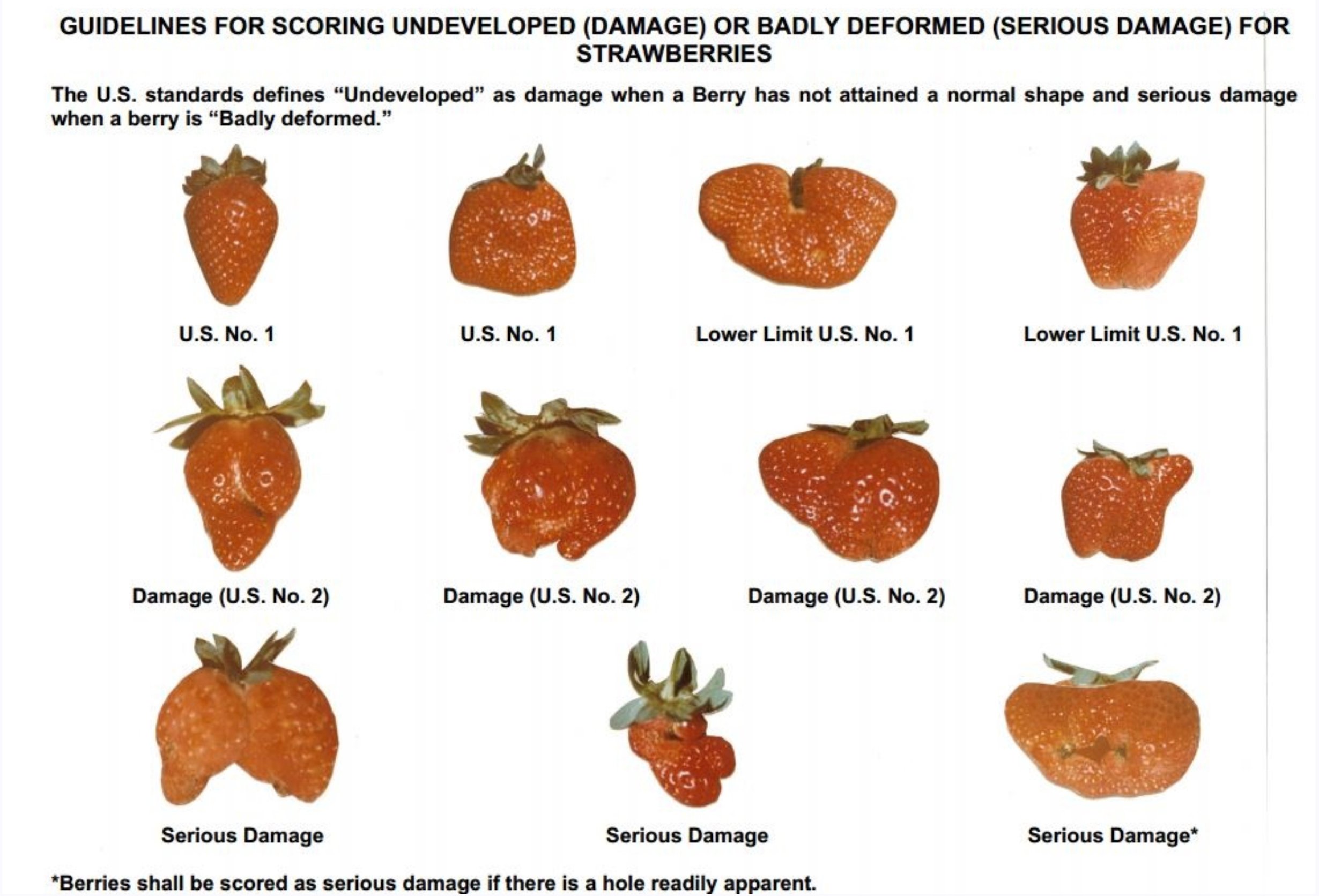 Strawberry Grading