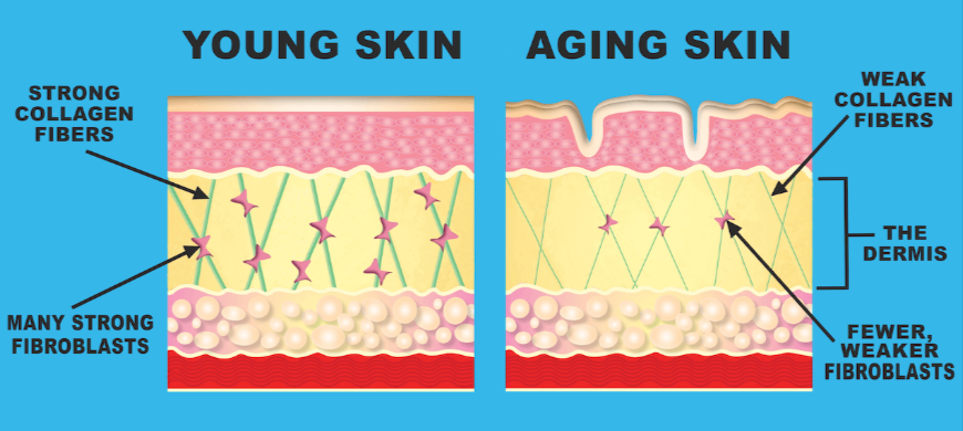 Deep Skin Restore how its work