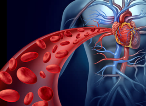 Heart Beat 911 how its wotk