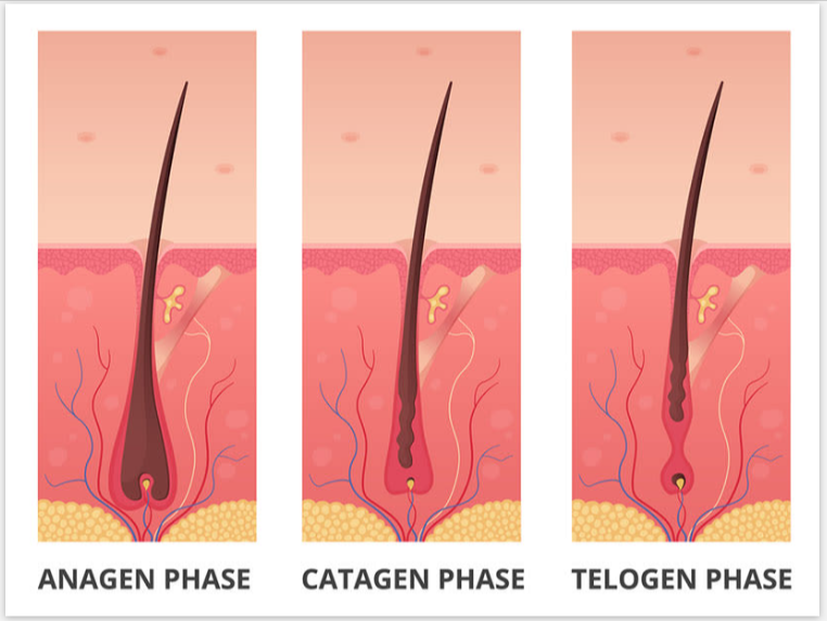 Rescue Hair 911 its work